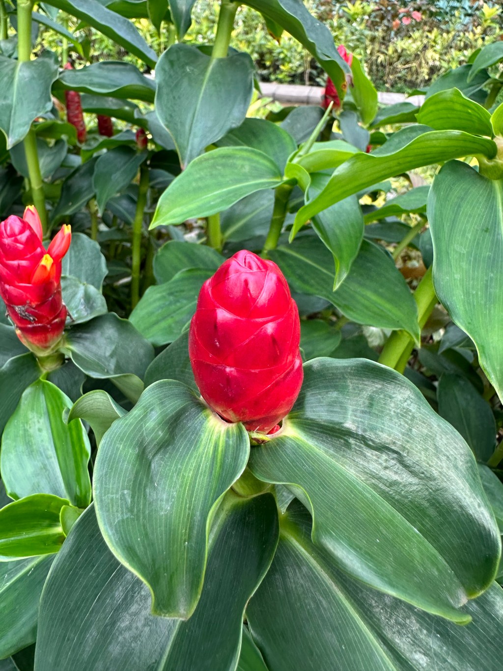 Vietnam – Day 9 – Ho Chi Minh&nbsp;City