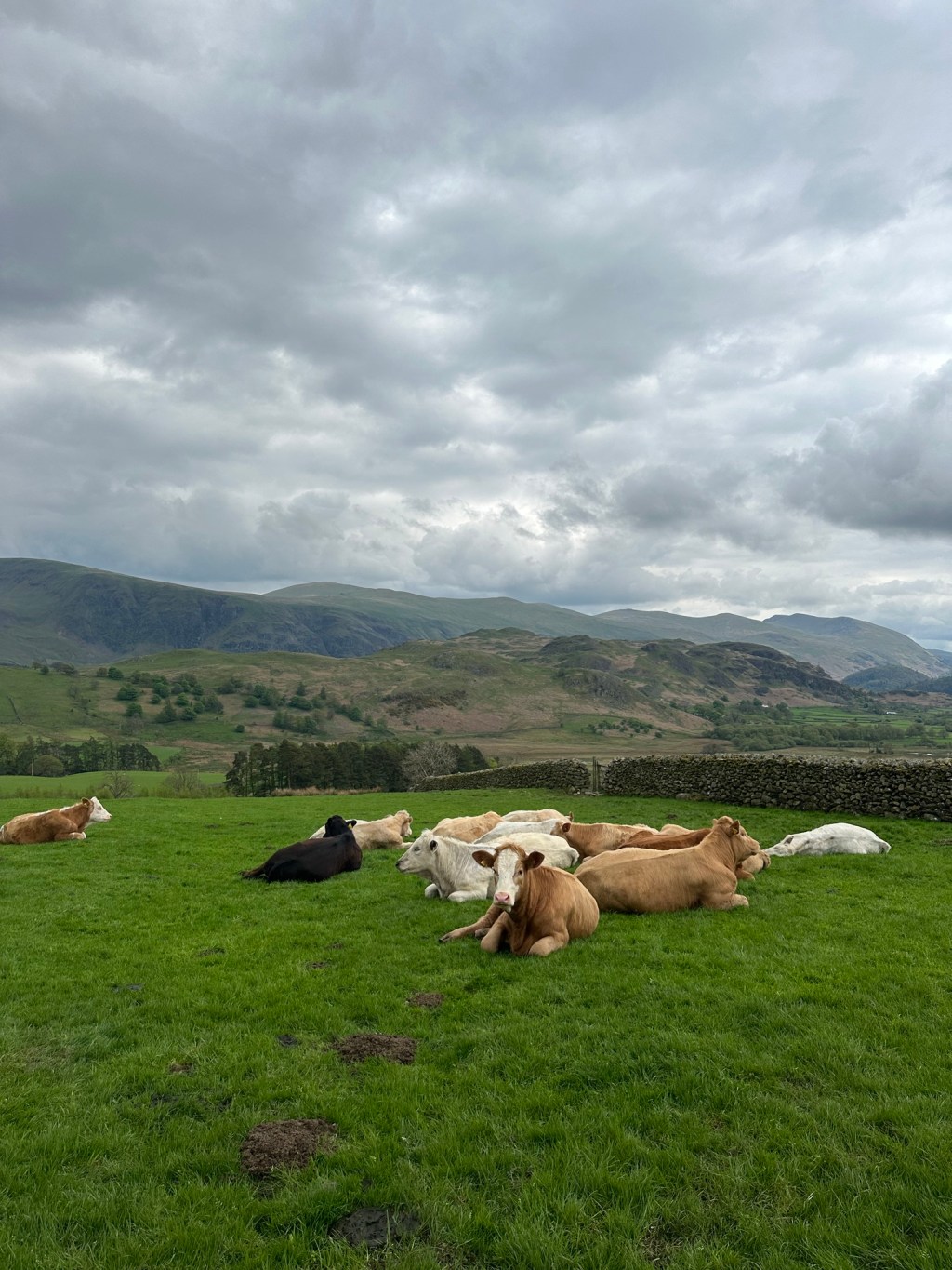 UK – Day 6 – The Lakes&nbsp;District