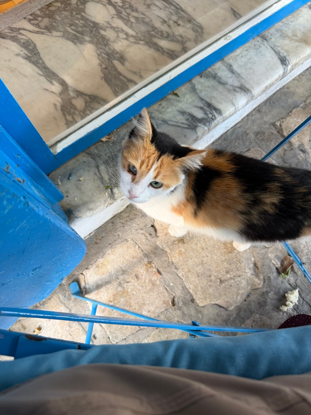Tunisia – Day 2 – Tunis, Carthage, Sidi Bou&nbsp;Said
